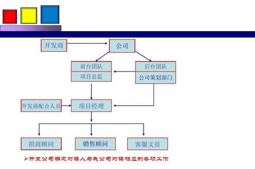 勁花項(xiàng)目營(yíng)銷策劃方案 項(xiàng)目策劃與公關(guān)服務(wù)的整合策略